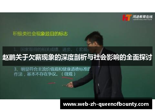 赵鹏关于欠薪现象的深度剖析与社会影响的全面探讨