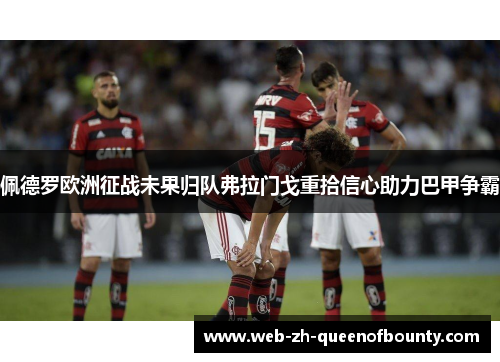 佩德罗欧洲征战未果归队弗拉门戈重拾信心助力巴甲争霸 佩德罗欧洲征战未果归队弗拉门戈重拾信心助力巴甲争霸